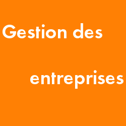 gestion-entreprises.png gestion-entreprises.png